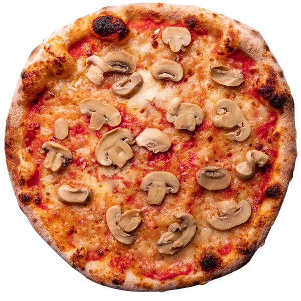 Funghi