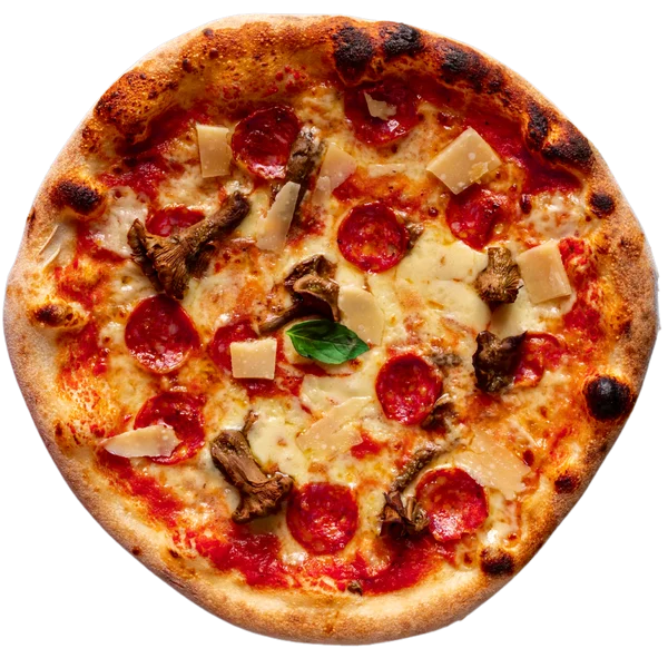 Cacciatore