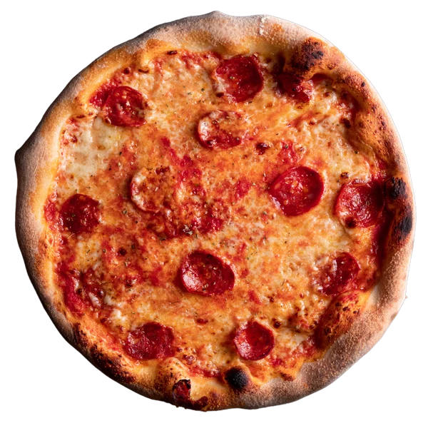 Salamino